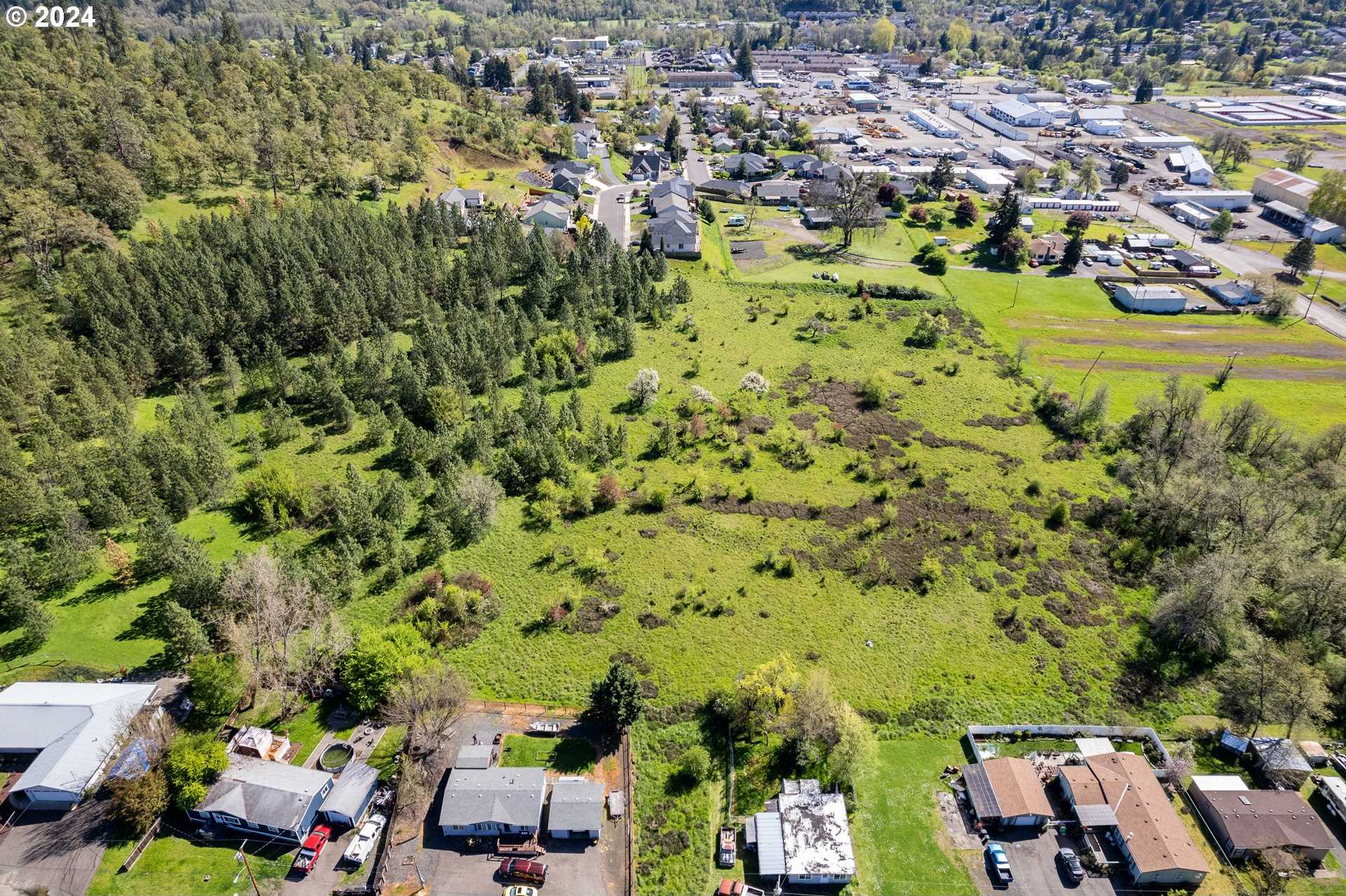 photo 3: NE RIFLE RANGE ST, Roseburg OR 97470