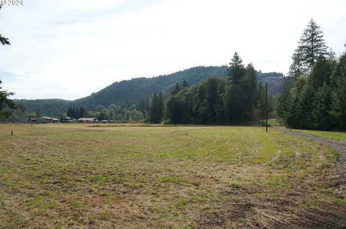 photo 12: Nehalem Hwy N, Vernonia OR 97064