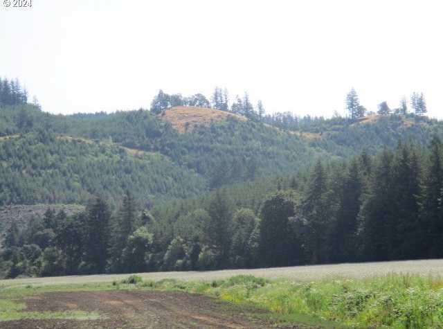 photo 3: Thomas Creek DR, Scio OR 97374