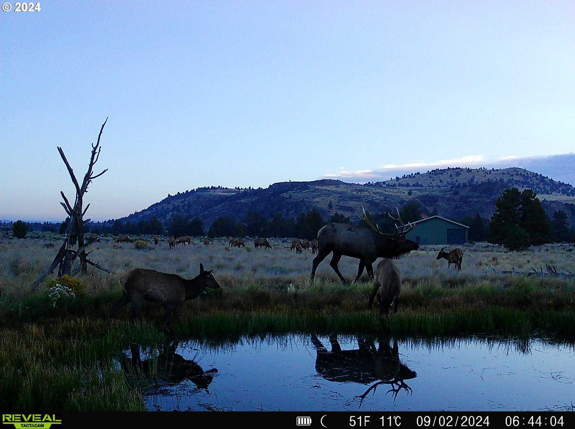 photo 2: 0 Derrick Caves Rd., Fort Rock OR 97735