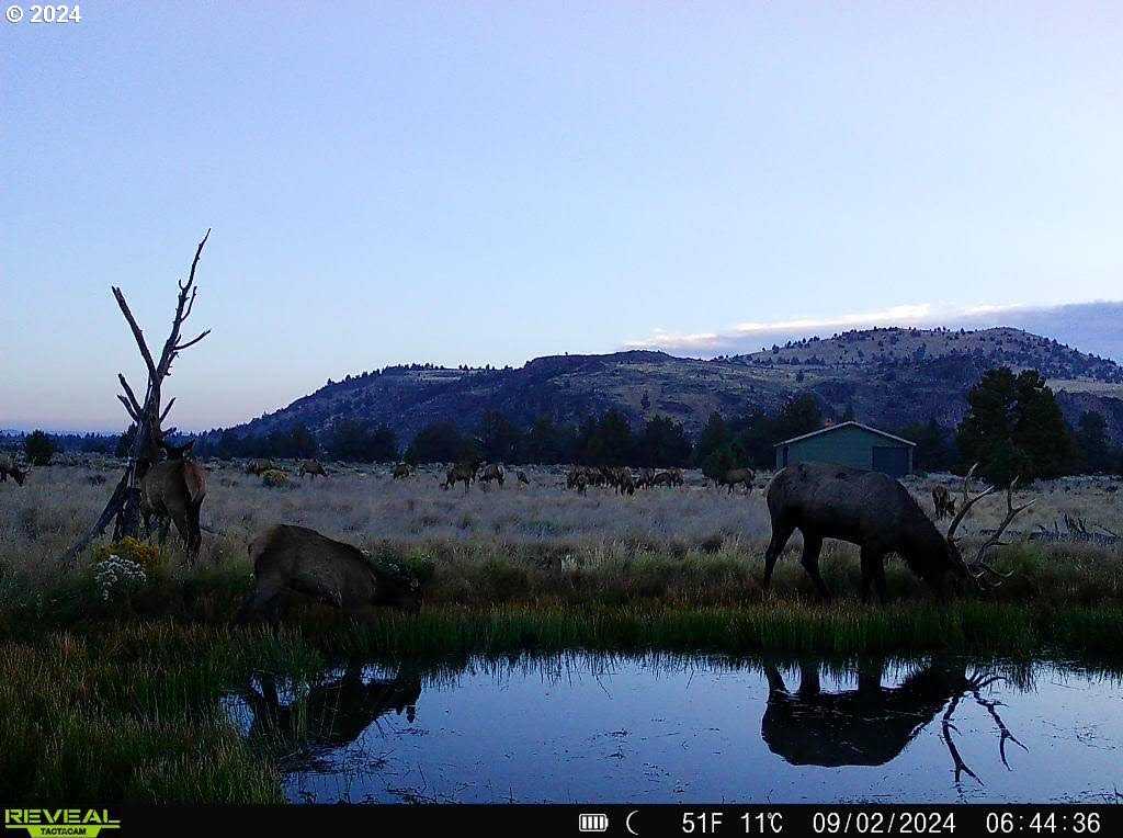 photo 3: 0 Derrick Caves Rd., Fort Rock OR 97735