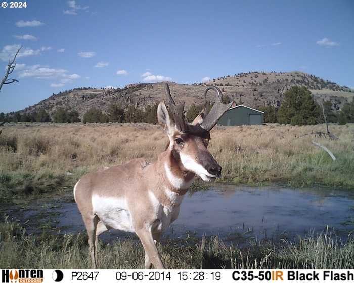 photo 47: 0 Derrick Caves Rd., Fort Rock OR 97735