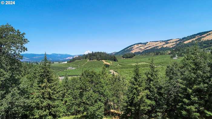 photo 48: 2915 FIR MOUNTAIN RD, Hood River OR 97031