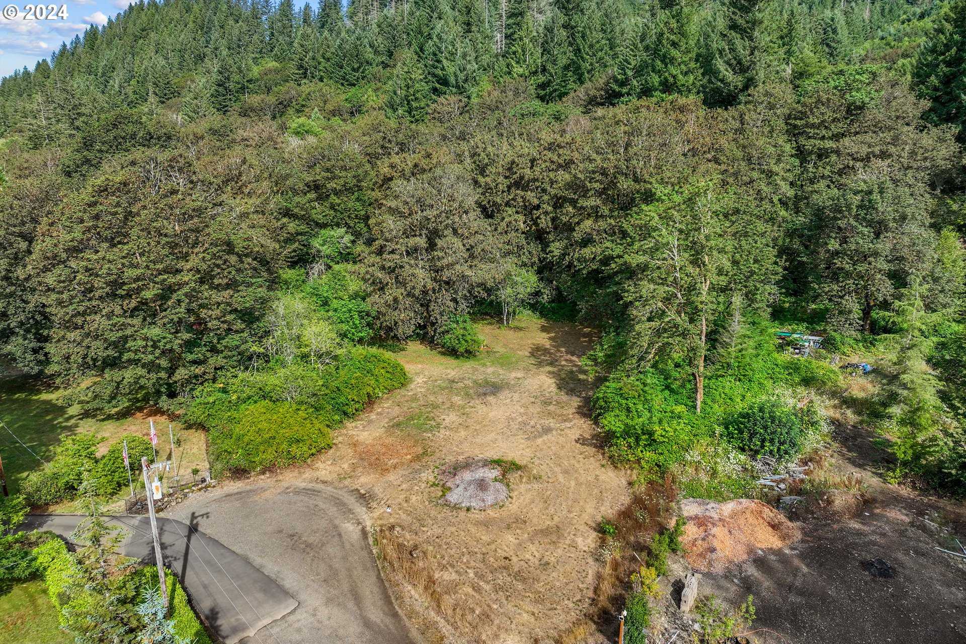 photo 3: ELK MEADOWS LN, Tillamook OR 97141