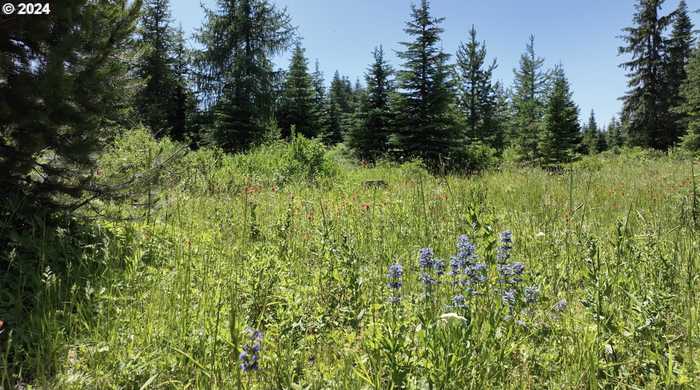 photo 22: Vacant Land, Weston OR 97886