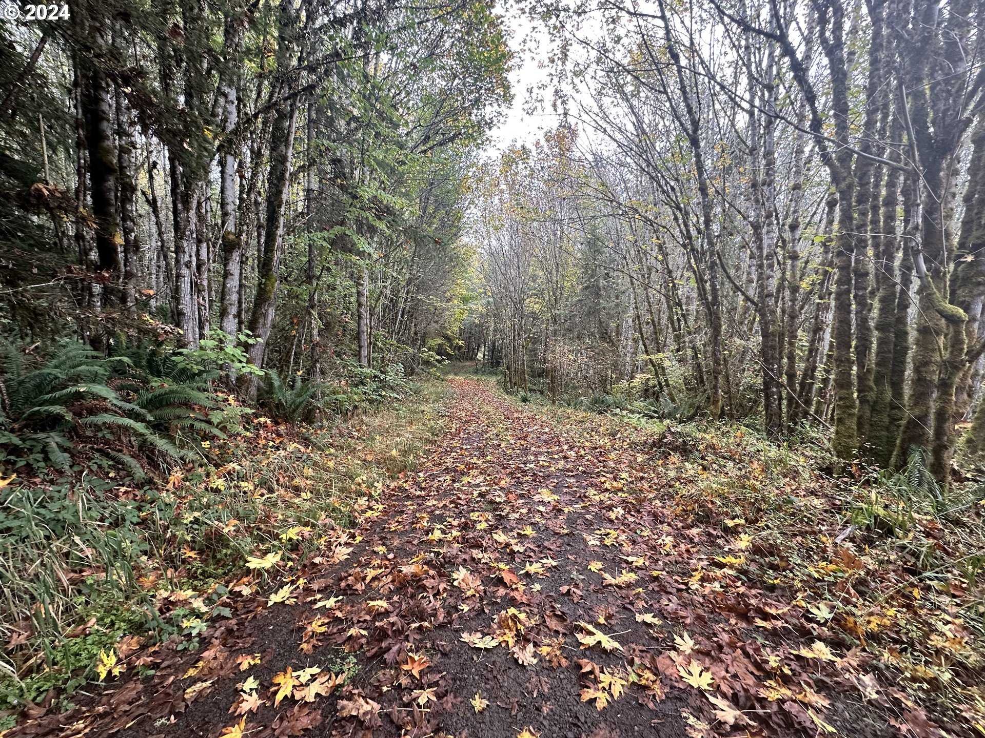 photo 2: Pebble Creek RD, Vernonia OR 97064