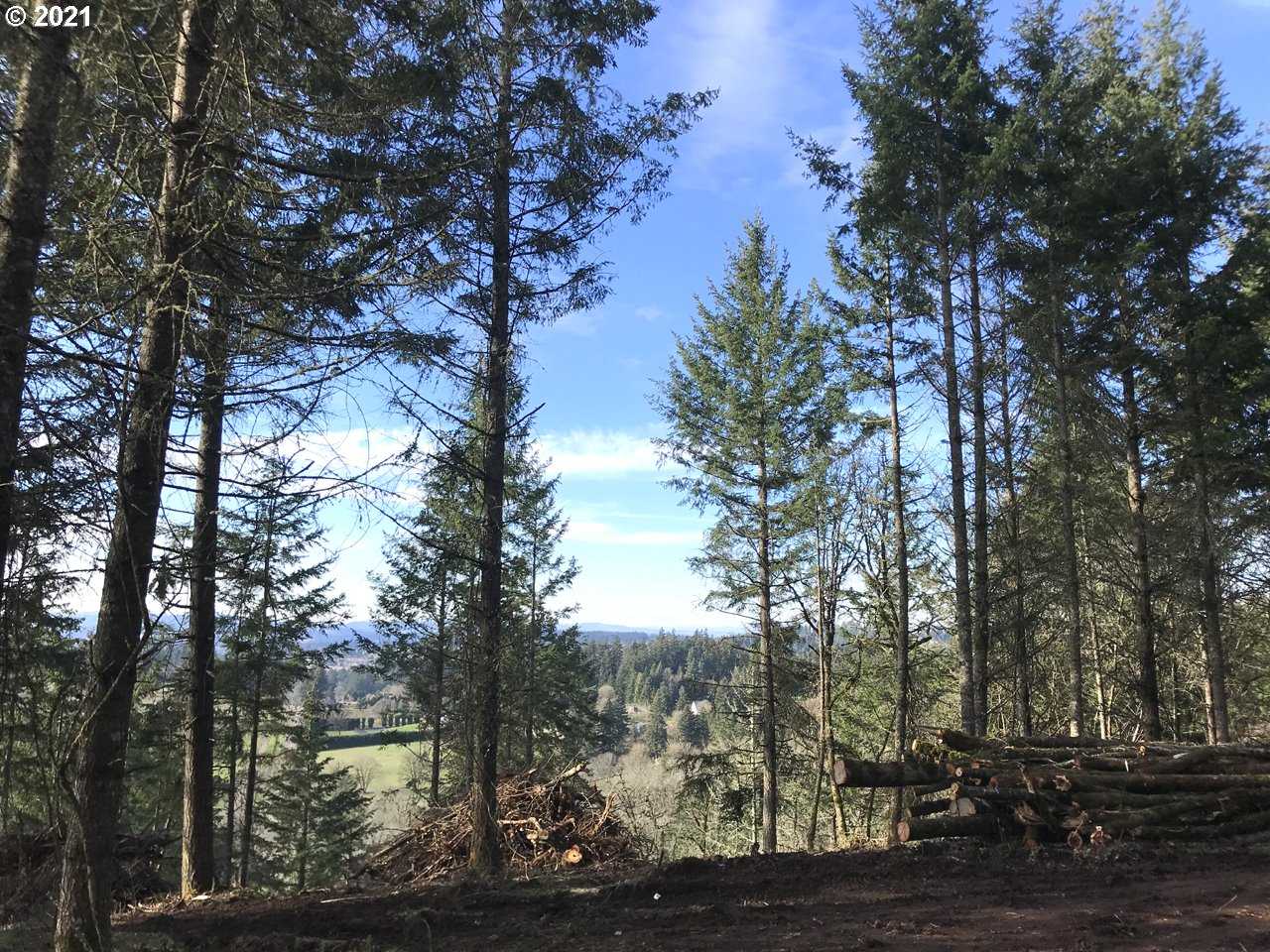 photo 1: Mountain RD, West Linn OR 97068