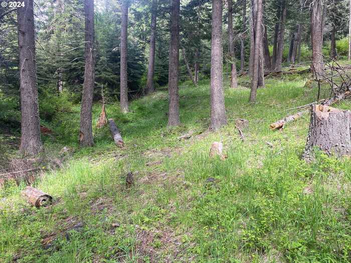 photo 1: Tram LN, Wallowa Lake OR 97846