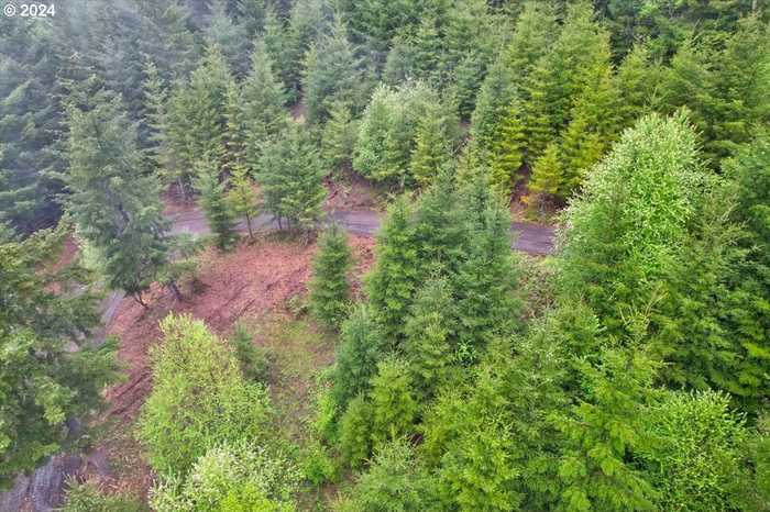 photo 2: Blodgett (Lot 700) RD, Blodgett OR 97326