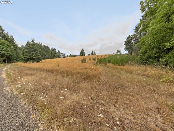 photo 1: 24631 NW Bacona RD, Buxton OR 97109