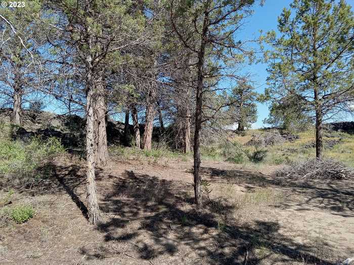 photo 7: 36 Rim DR Unit 36, Chiloquin OR 97624