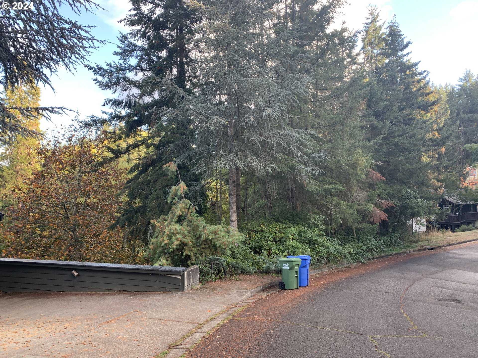 photo 3: Marlboro LN, Eugene OR 97405