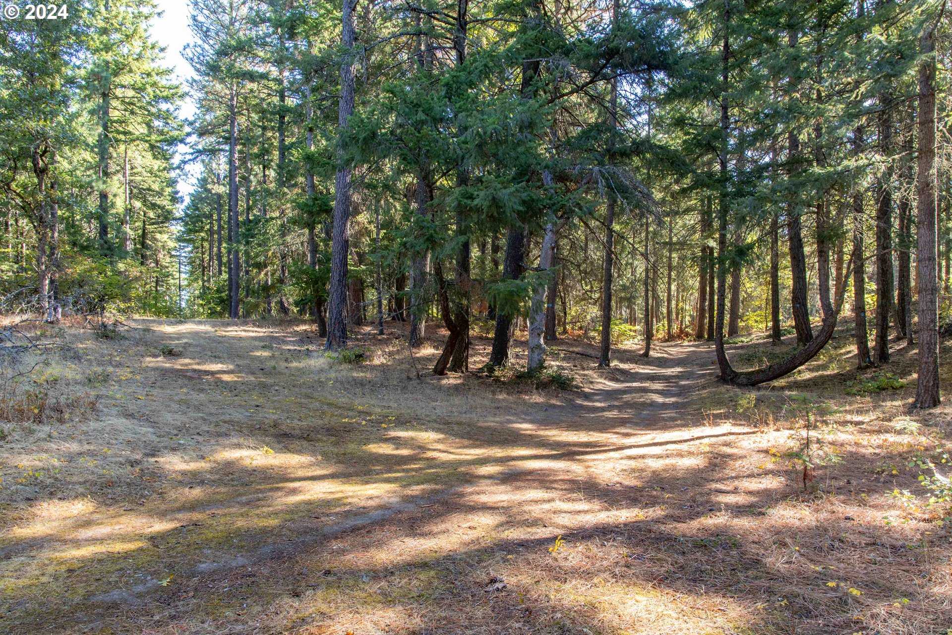 photo 1: Paradise Ridge Unit 1, Mosier OR 97040