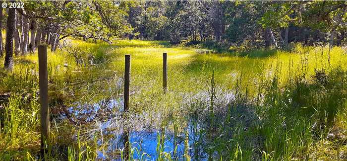 photo 2: Dry Creek Road, Mosier OR 97040