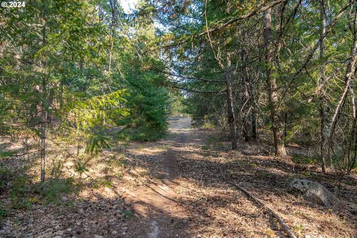 photo 28: Dry Creek Road, Mosier OR 97040