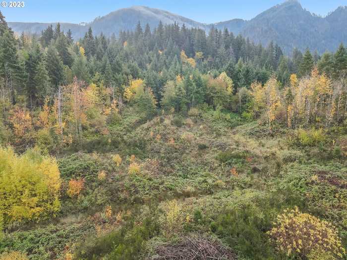 photo 2: DRY CREEK, Cascade Locks OR 97014