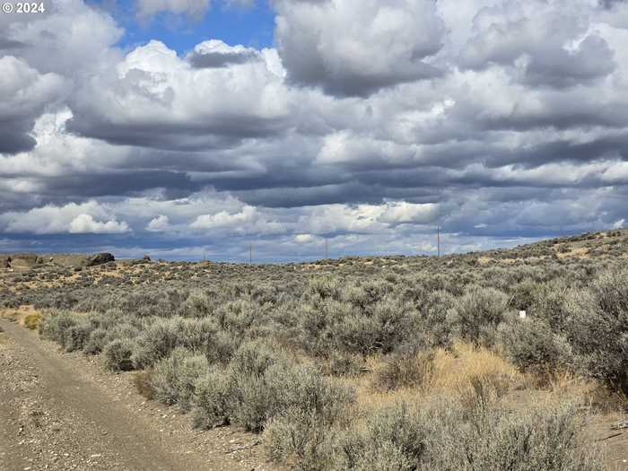 photo 2: Chinook, Christmas Valley OR 97641