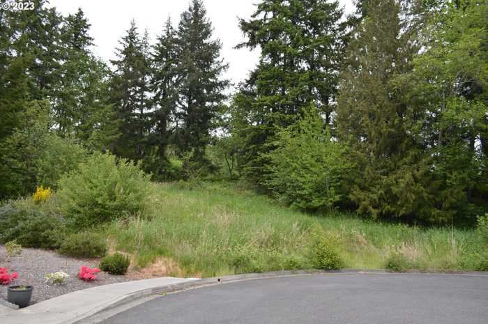 photo 1: Richards DR, Rainier OR 97048