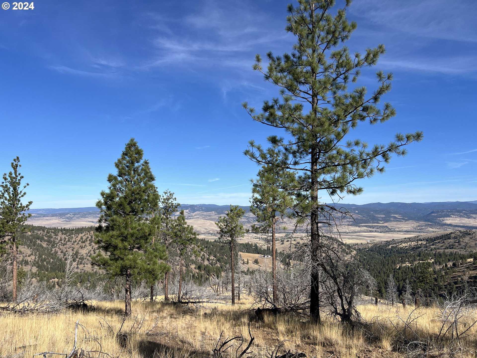 photo 2: 25422 Baldy Mountain RD, John Day OR 97845