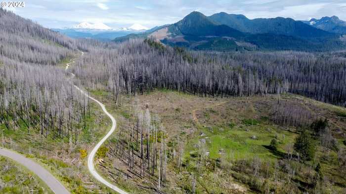 photo 26: 91747 BLUE RIVER RESERVOIR RD, Blue River OR 97413