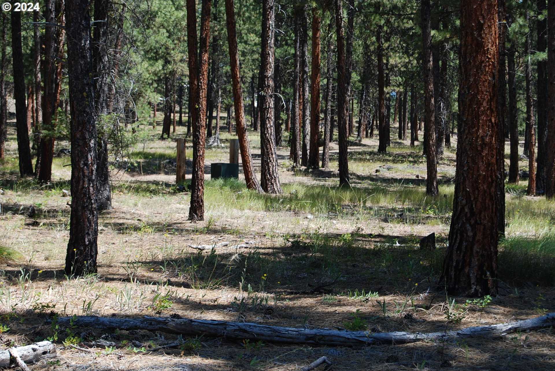 photo 3: Bear Gulch RD, Sumpter OR 97877