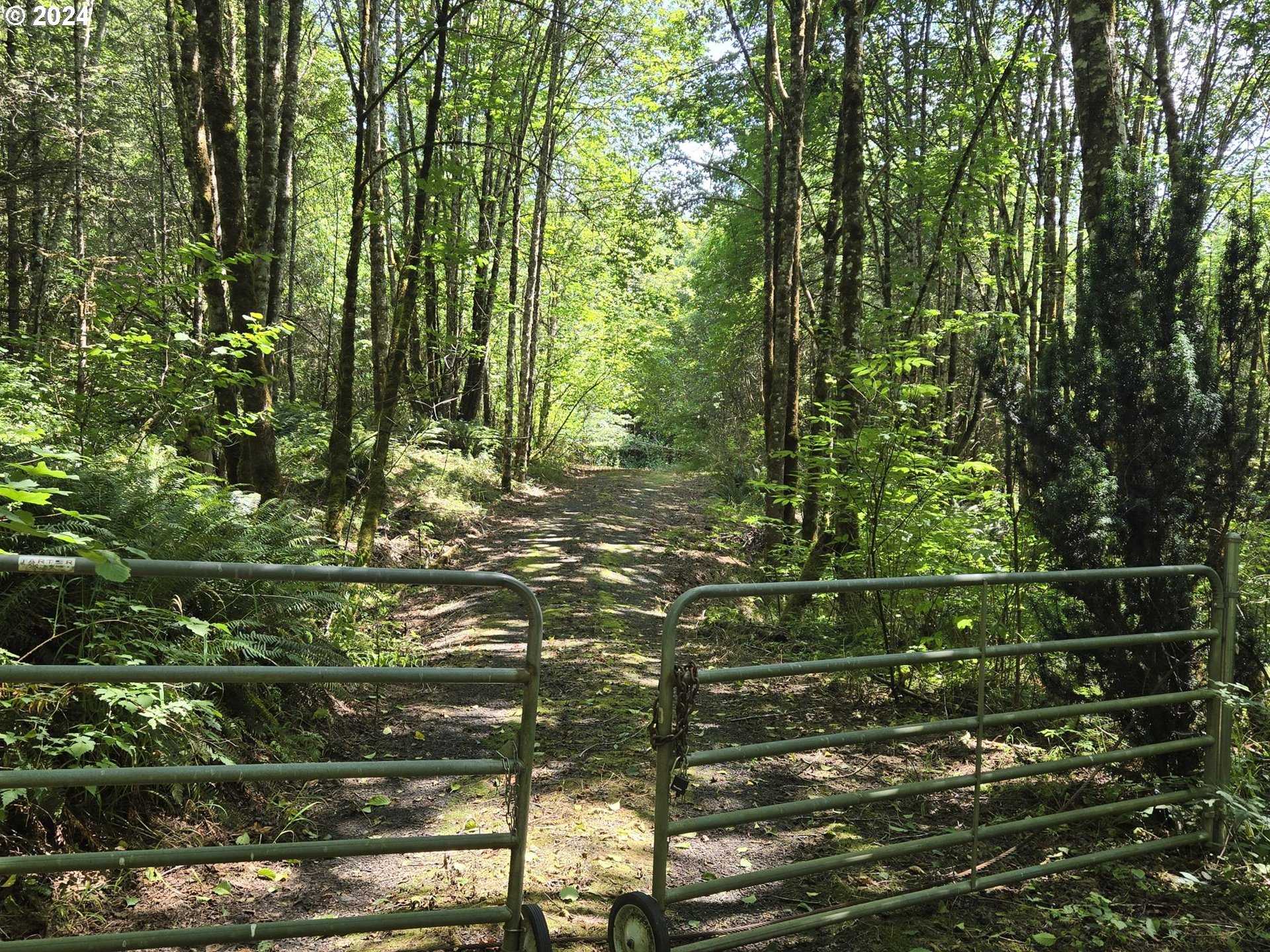 photo 3: Tide Creek RD, Rainier OR 97048