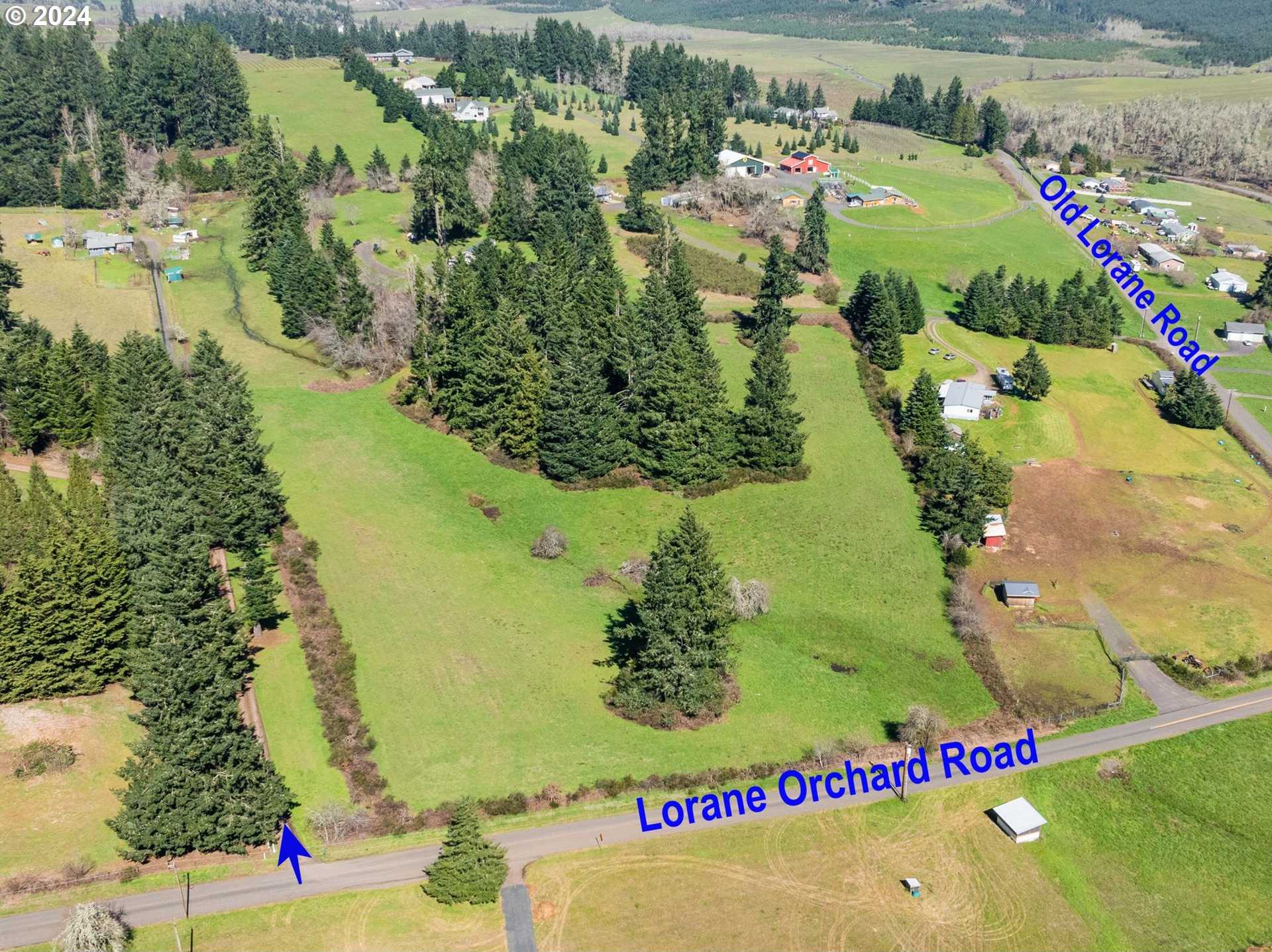 photo 3: 27709 LORANE ORCHARD RD, Lorane OR 97451