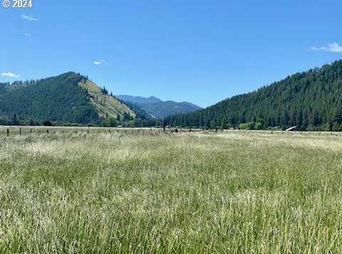 photo 1: 75275 UPPER DIAMOND LN, Wallowa OR 97885