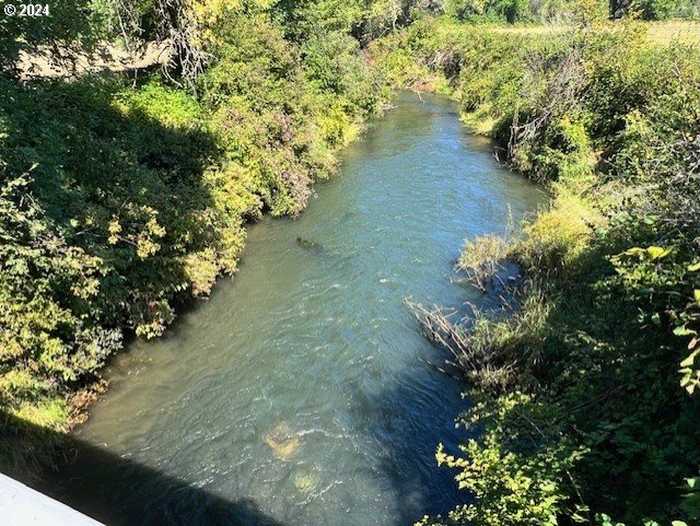 photo 19: Scoggins Valley RD, Gaston OR 97119