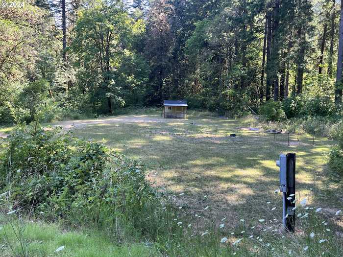 photo 1: 46430 WESTFIR RD, Westfir OR 97492