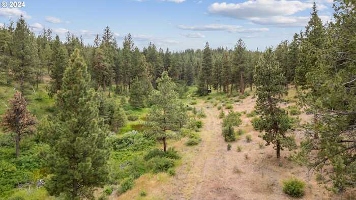 photo 37: 13522 SE PAULINA HWY, Prineville OR 97754