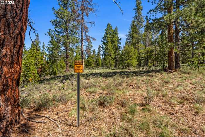 photo 47: 18138 MAURY MOUNTAIN LN, Sunriver OR 97707