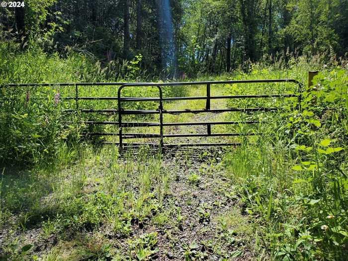 photo 1: Stewart Creek RD, Clatskanie OR 97016