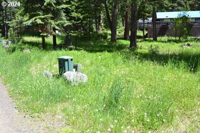 photo 2: Forest Dell Unit 2700, Wallowa Lake OR 97846