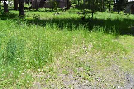 photo 3: Forest Dell Unit 2700, Wallowa Lake OR 97846