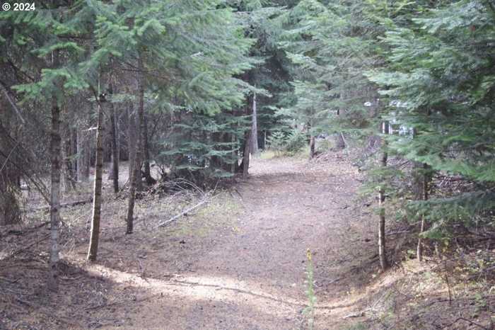 photo 1: Snowshoe LN, Weston OR 97886