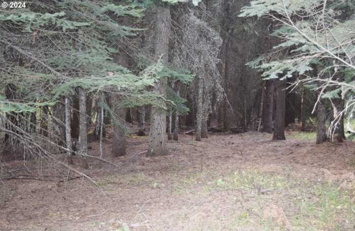 photo 2: Snowshoe LN, Weston OR 97886