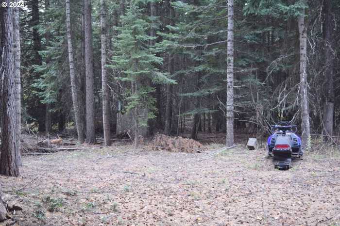 photo 6: Snowshoe LN, Weston OR 97886