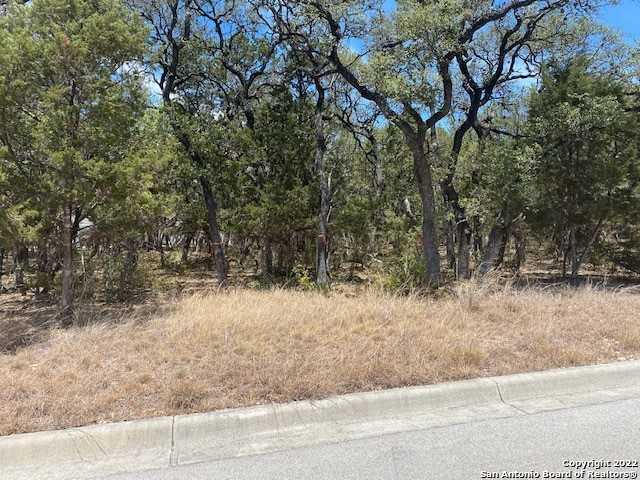 photo 3: 79 PERCIVAL, San Antonio TX 78230