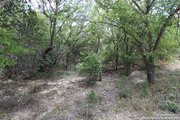 photo 2: 19057 State Highway 16 N, Helotes TX 78023