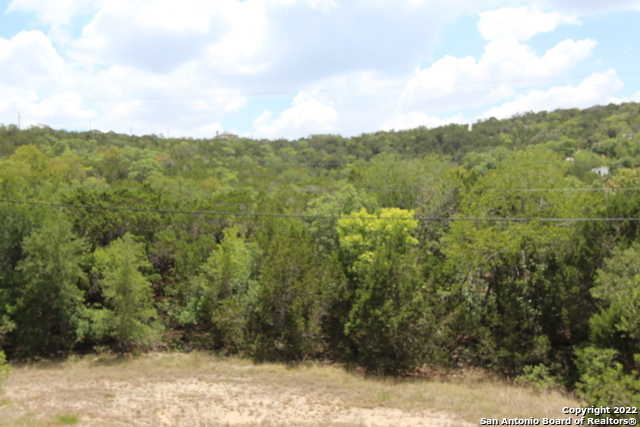 photo 3: 19057 State Highway 16 N, Helotes TX 78023