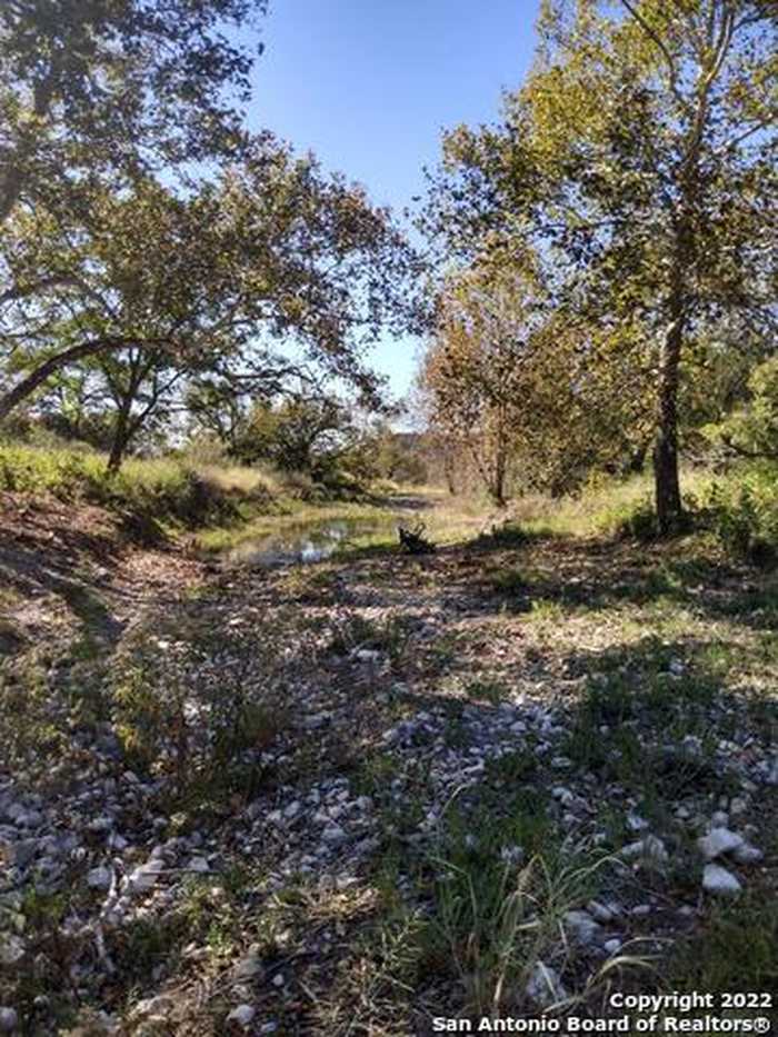 photo 14: 2682 Hwy 336, Leakey TX 78873