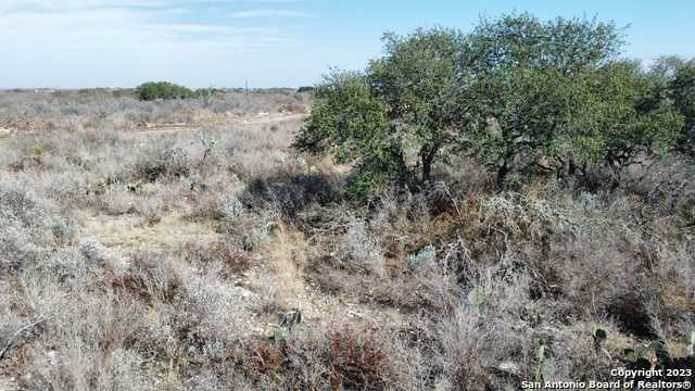 photo 2: 73 Rocky Hls, Uvalde TX 78801