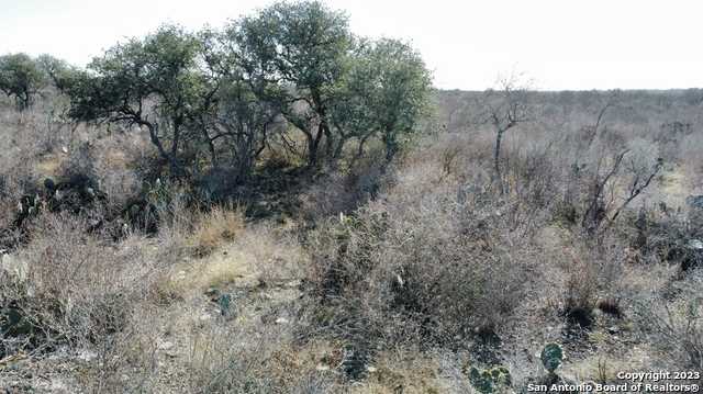 photo 3: 73 Rocky Hls, Uvalde TX 78801