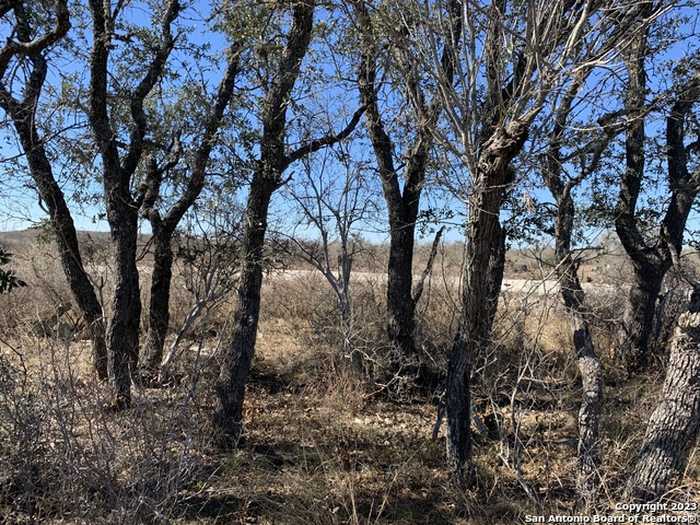 photo 1: 87 Palomino Hls, Uvalde TX 78801