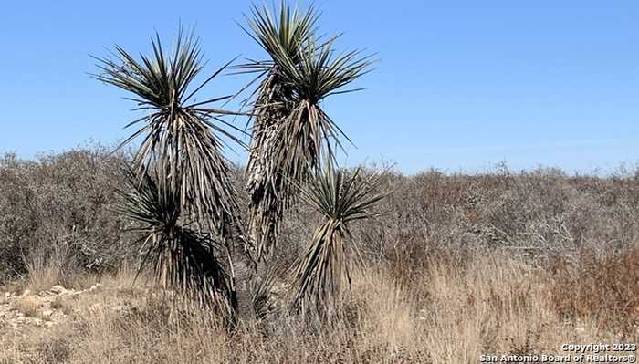 photo 2: 87 Palomino Hls, Uvalde TX 78801