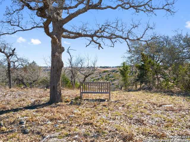 photo 3: LOT 116 Majestic Hills, Blanco TX 78606