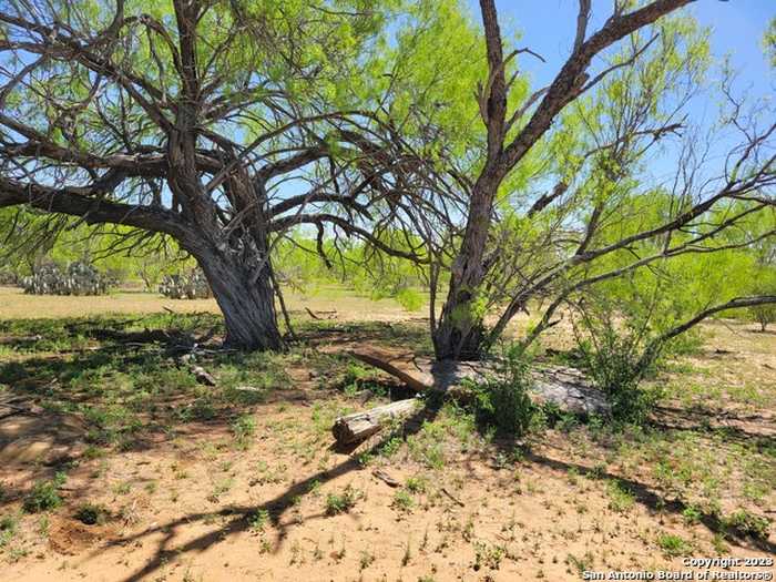 photo 28: TBD LOTS 3-4 Cr 7421, Yancey TX 78886