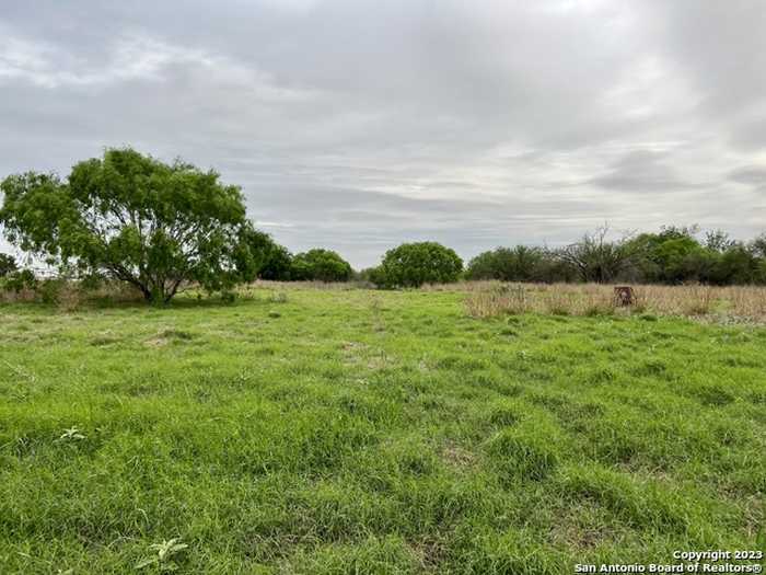 photo 1: 39 ACRES Cr 145, Kenedy TX 78119