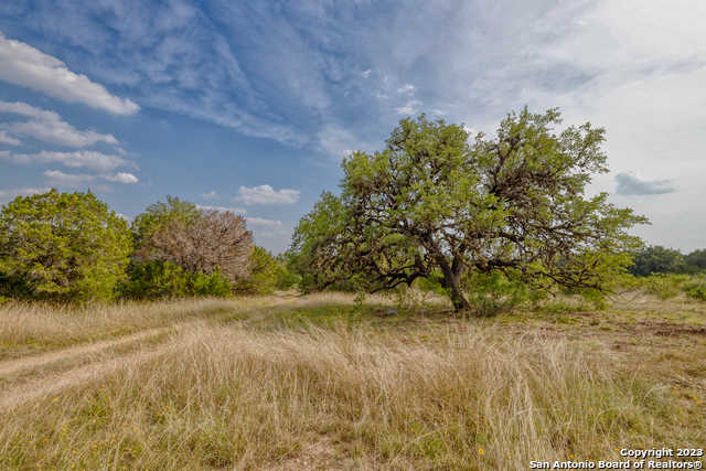 photo 1: N Hwy 83, Leakey TX 78873